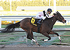 Devil's Cave Romps to Track Record in Sabin Devil's Cave Romps to Track Record in Sabin