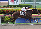 Devil's Cave Makes Successful Stakes Debut Devil's Cave Makes Successful Stakes Debut