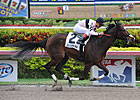 Devil's Cave Goes Long in Millions Distaff Devil's Cave Goes Long in Millions Distaff