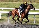 Illinois Derby, Preakness for Dewey Square