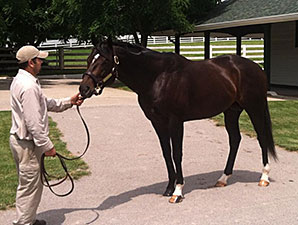TOBA Breeding Clinic Takes Place in Lexington TOBA Breeding Clinic Takes Place in Lexington