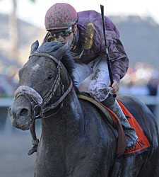 Dialed In Drops to 5-1 in Derby Future Wager Dialed In Drops to 5-1 in Derby Future Wager