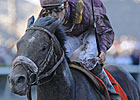 Dialed In Second on KY Derby Earnings List Dialed In Second on KY Derby Earnings List