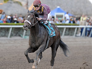 LaPenta Gets Allowance Race for Dialed In LaPenta Gets Allowance Race for Dialed In
