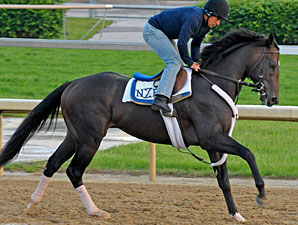 Dialed In Early 3-1 Kentucky Derby Favorite Dialed In Early 3-1 Kentucky Derby Favorite