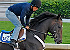 Dialed In Early 3-1 Kentucky Derby Favorite