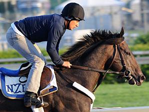 Dialed In Running for Huge Preakness Payday Dialed In Running for Huge Preakness Payday