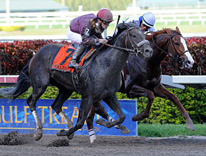 Dialed In Pushes Button in Florida Derby Dialed In Pushes Button in Florida Derby