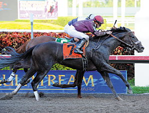 Dialed In's Next Call: Kentucky Derby Dialed In's Next Call: Kentucky Derby
