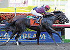 Dialed In's Next Call: Kentucky Derby Dialed In's Next Call: Kentucky Derby