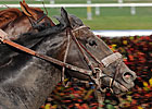Derby Dozen - April 11, 2011