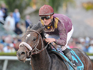Dialed In Works Bullet Half for Fla. Derby Dialed In Works Bullet Half for Fla. Derby