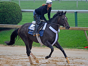 Dialed In Returns to Training at Palm Meadows Dialed In Returns to Training at Palm Meadows