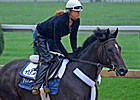 Dialed In Returns to Training at Palm Meadows