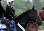 Dialed In Preakness Win Would Help Others