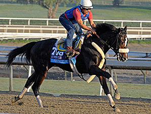 Diamond Bachelor Hopes Form Transfers to Dirt Diamond Bachelor Hopes Form Transfers to Dirt