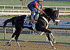 Diamond Bachelor Hopes Form Transfers to Dirt Diamond Bachelor Hopes Form Transfers to Dirt