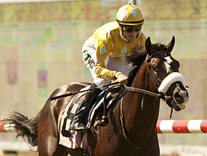 Wavertree Seeking More Juvenile Cup Success Wavertree Seeking More Juvenile Cup Success