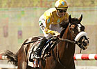 Wavertree Seeking More Juvenile Cup Success Wavertree Seeking More Juvenile Cup Success