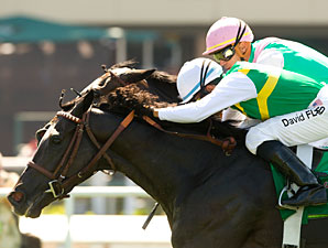 Diamond Diva Faces Possible Retirement Diamond Diva Faces Possible Retirement