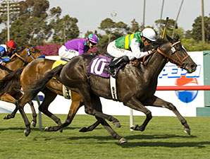 Gamely is Diamond Diva's Turn to Shine Gamely is Diamond Diva's Turn to Shine