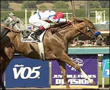 Pneumonia Claims Filly Diamond Omi Pneumonia Claims Filly Diamond Omi
