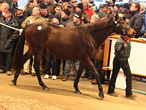 Gross Jumps 26% During Tatts Dec Second Day Gross Jumps 26% During Tatts Dec Second Day