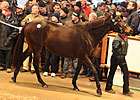 Gross Jumps 26% During Tatts Dec Second Day Gross Jumps 26% During Tatts Dec Second Day