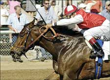 Diplomat Lady Wins Stonerside Beaumont Diplomat Lady Wins Stonerside Beaumont
