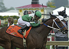 Disco Rico Euthanized After Laminitis Battle Disco Rico Euthanized After Laminitis Battle