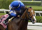 Discreet Cat Draws Rail for Inaugural Dirt Mile Discreet Cat Draws Rail for Inaugural Dirt Mile