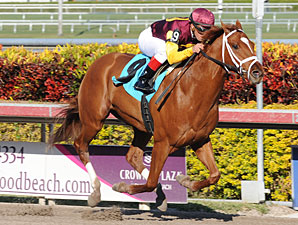Pletcher Works Discreet Dancer, 'Bobby Pletcher Works Discreet Dancer, 'Bobby