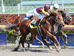 Discreet Dancer Returns a Winner Discreet Dancer Returns a Winner