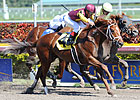Discreet Dancer Returns a Winner Discreet Dancer Returns a Winner