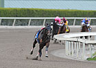 Fort Larned 'Walking Good' After Gate Stumble