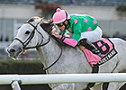 Discreet Marq Stands Out in Ticonderoga Discreet Marq Stands Out in Ticonderoga