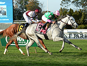 Discreet Marq Bounces Back in Pebbles Discreet Marq Bounces Back in Pebbles