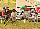 Discreet Marq Streaks to Del Mar Oaks Triumph Discreet Marq Streaks to Del Mar Oaks Triumph