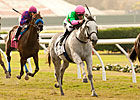 Discreet Marq, La Tia Square Off in Matriarch Discreet Marq, La Tia Square Off in Matriarch