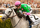 Discreet Marq Tops Talented Group in Pebbles Discreet Marq Tops Talented Group in Pebbles