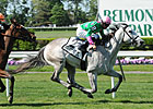 Discreet Marq Gate to Wire in Sands Point