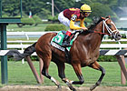 Discreetly Mine an Easy Winner of Amsterdam Discreetly Mine an Easy Winner of Amsterdam