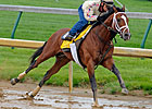 Discreetly Mine to Stand at Lane's End