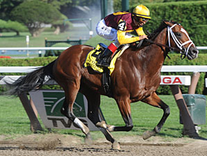 Four Mares Scanned in Foal to Discreetly Mine Four Mares Scanned in Foal to Discreetly Mine