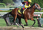 Four Mares Scanned in Foal to Discreetly Mine Four Mares Scanned in Foal to Discreetly Mine