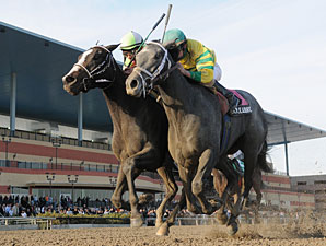 Pletcher Entrants Vie for Black-Eyed Susan Pletcher Entrants Vie for Black-Eyed Susan