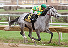 Disposablepleasure's Race Career in Jeopardy Disposablepleasure's Race Career in Jeopardy