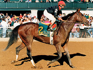 Kentucky Oaks Winner Dispute Dies at Age 23 Kentucky Oaks Winner Dispute Dies at Age 23