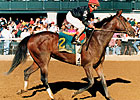 Kentucky Oaks Winner Dispute Dies at Age 23 Kentucky Oaks Winner Dispute Dies at Age 23