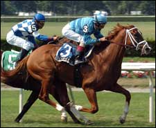 Distorted Reality Gains Focus in Lexington Win Distorted Reality Gains Focus in Lexington Win